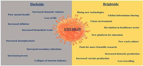 COVID | Free Full-Text | The Two Sides of the COVID-19 Pandemic | H&eacute;sitations Vaccinales: Observatoire HESIVAXs | Scoop.it