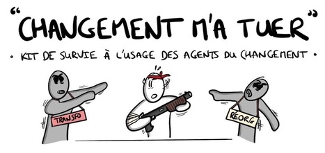 #sketchnote : Kit de survie &agrave; l'usage des agents du changement | Devops for Growth | Scoop.it