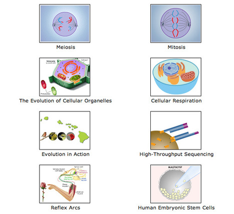 Animations for HighSchool Science | Homeschooling High School | Scoop.it