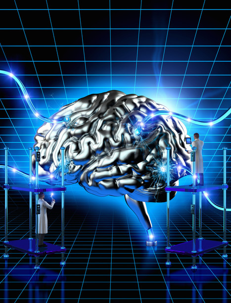 Why Neuroscience Matters To You - Huffington Post | CALM | Scoop.it