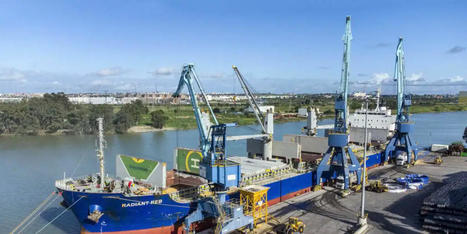 Nuevo récord para el Puerto de Sevilla: recibe el buque mercante más cargado de su historia | Sevilla Capital Económica | Scoop.it