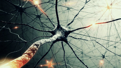 Experiencias de neuroaprendizaje  | Educación Siglo XXI, Economía 4.0 | Scoop.it
