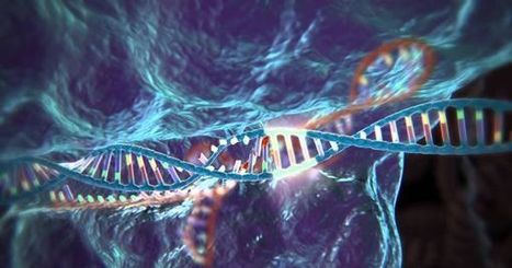 The Age of Gene Editing: Everything You Need To Know About CRISPR/Cas9 | Chair et Métal - L'Humanité augmentée | Scoop.it