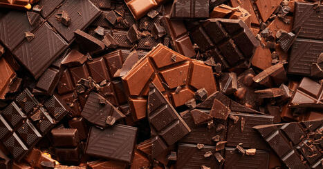 Contamination du chocolat au cadmium : pourquoi le bio est-il plus touché ? | Alimentation Santé Environnement | Scoop.it