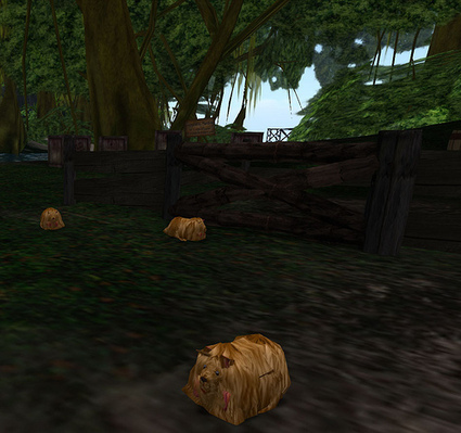 A-Wimoweh A-Wimoweh A-Wimoweh A-Wimoweh A-Wimoweh A-Wimoweh » Ciaran Laval | Second LIfe Good Stuff | Scoop.it