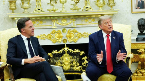 Trump weiter &bdquo;entt&auml;uscht &uuml;ber Deutschland&ldquo; - Rutte nimmt Berlin in Schutz | STERN.de | Kompass-Aktuell | Scoop.it