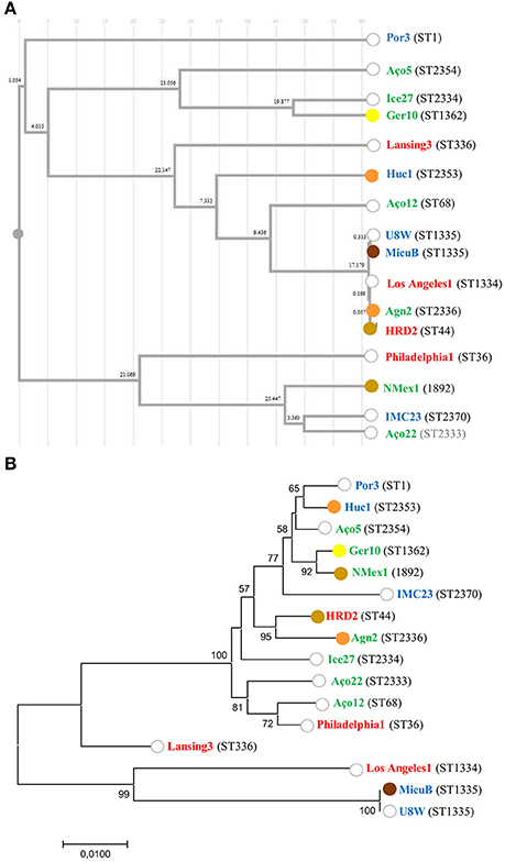 Study of Legionella pneumophila Virulence in a Galleria mellonella Infection Model | iBB | Scoop.it