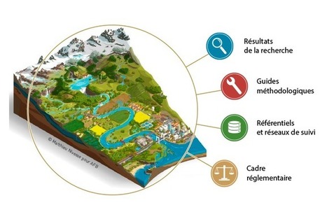 Outils pour la gestion quantitative de la ressource en eau - Agence française pour la biodiversité | Biodiversité | Scoop.it