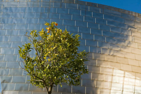 Le Musée Guggenheim Bilbao présente un plan de durabilité environnementale pionnier dans le monde des musées – | Muséologie, culture, sciences et numérique | Scoop.it