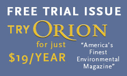 Discuss: State of the Species | Orion Magazine | Nerdy Needs | Scoop.it