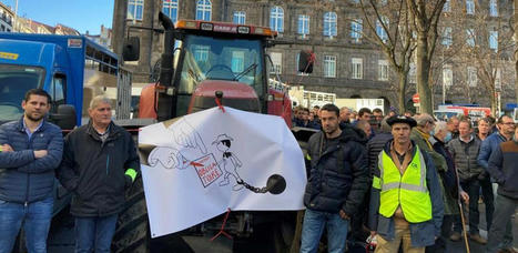 Manifestation : éleveurs et négociants disent non aux contrats obligatoires | Actualité Bétail | Scoop.it