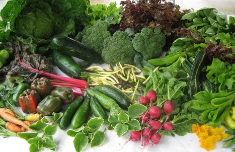 Les 12 meilleurs PDF et Ebook gratuits sur le potager | La Sagesse de la Nature | Scoop.it