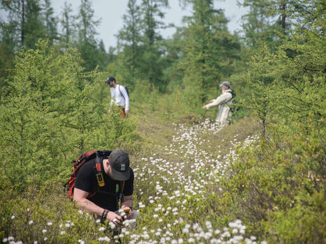De nouveaux milieux naturels protégés à Granby | Ils parlent de nous ! | Scoop.it