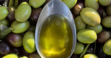 Quintesens lance une huile d'olive biologique avec jusqu'&agrave; 880 mg de polyph&eacute;nols, soit cinq fois plus que les huiles classiques du march&eacute; | ITERG - Nutrition, Sant&eacute; et Biochimie des Lipides | Scoop.it