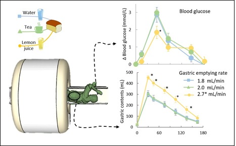 Boire du jus de citron en mangeant : une r&eacute;ponse glyc&eacute;mique am&eacute;lior&eacute;e et des s&eacute;cr&eacute;tions gastriques qui s&rsquo;emballent&hellip; | Life Sciences Universit&eacute; Paris-Saclay | Scoop.it