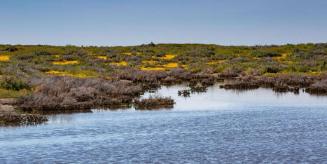 Trump EPA Takes 'Yet Another Sledgehammer' to Clean Water Act | by&nbsp;Jessica Corbett | CommonDreams.org | @The Convergence of ICT, the Environment, Climate Change, EV and HEV Transportation & Distributed Renewable Energy | Scoop.it