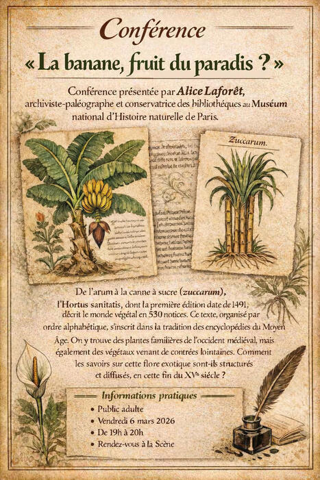 Conf&eacute;rence &laquo; La banane, fruit du paradis ? &raquo; - Ville de Cambrai | Revue de presse : &Eacute;cole nationale des chartes | Scoop.it