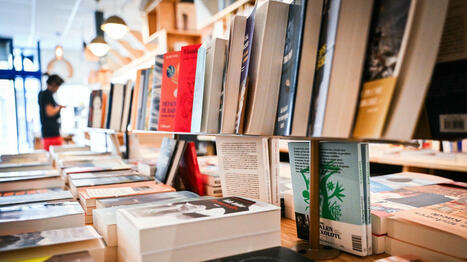 Rentrée littéraire 2025 : une nouveauté en chasse une autre, quand la chaîne du livre doit suivre | L'actualité des bibliothèques | Scoop.it
