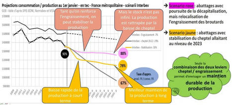 Filière bovine française : un tiers de la viande consommée serait importée à l’horizon 2035 | Economie de l'Elevage | Scoop.it