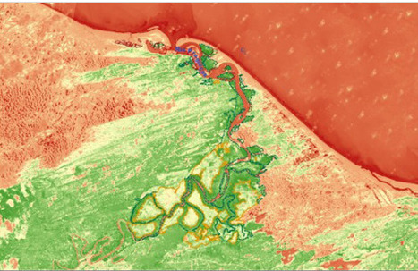 Manguezais do Maranh&atilde;o: estudo de caso do Rio Pregui&ccedil;as | &Eacute;cosyst&egrave;mes Tropicaux | Scoop.it