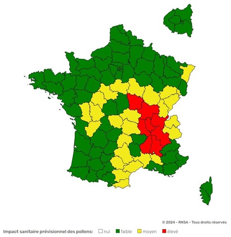 Le Réseau National de Surveillance Aérobiologique (R.N.S.A.) a été créé en 1996 pour poursuivre les travaux réalisés depuis 1985 par le Laboratoire d'Aérobiologie de l'Institut Pasteur à Paris | Allergy (and clinical immunology) | Scoop.it