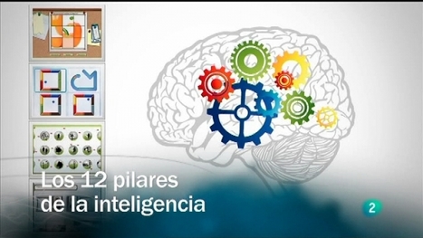 Redes  - Los 12 pilares de la inteligencia, Redes - RTVE.es A la Carta | Didactics and Technology in Education | Scoop.it
