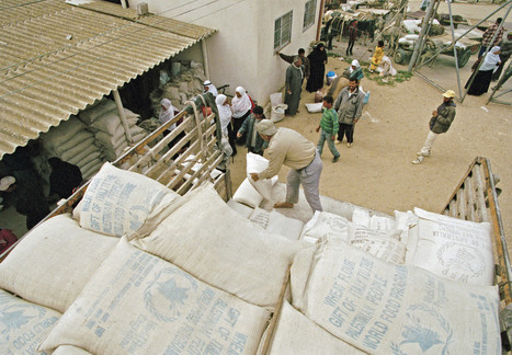 World Food Programme releases first logistics report | WFP | Humanitarian Supply Chain & Logistics | Scoop.it