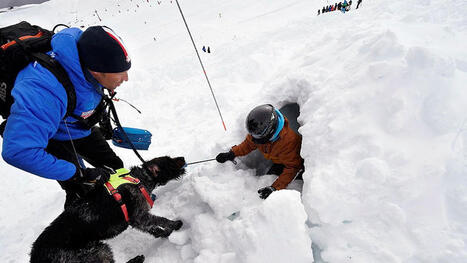Risques d&rsquo;avalanches&nbsp;: les conseils de prudence des secouristes de la CRS Pyr&eacute;n&eacute;es | Vall&eacute;es d'Aure & Louron - Pyr&eacute;n&eacute;es | Scoop.it