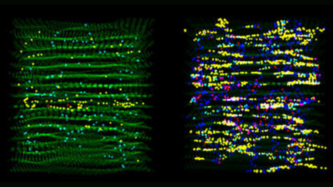 Desorden at&oacute;mico y transporte de energ&iacute;a t&eacute;rmica en s&oacute;lidos | Ciencia-F&iacute;sica | Scoop.it