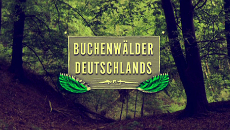 Karambolage - Émission du 28 avril 2013 - videos.arte.tv | Ressources FLE | Scoop.it