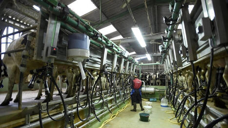 La R&eacute;gion Pays de la Loire lance son &laquo;&nbsp;acc&eacute;l&eacute;rateur agricole&nbsp;&raquo; pour booster la fili&egrave;re - Ouest France [Abonn&eacute;s] | Agriculture en Pays de la Loire | Scoop.it