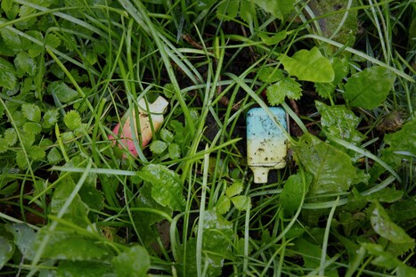 Officials issue warning as harmful products become more widespread: 'Toxic' | Industry 411 - Waste Management | Scoop.it