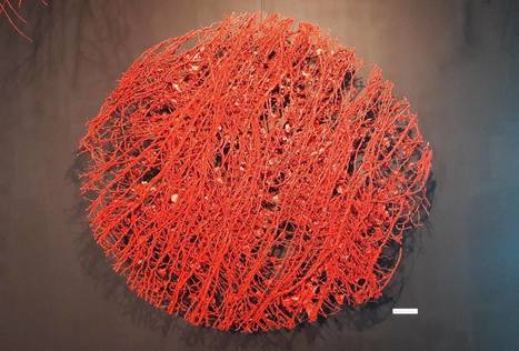 Katarzyna Kot-Bach: Bloodstream of Nature | Art Installations, Sculpture, Contemporary Art | Scoop.it