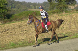 Endurance Riding: News: France: Endurance Junior & Young rider ... | Cheval et Nature | Scoop.it
