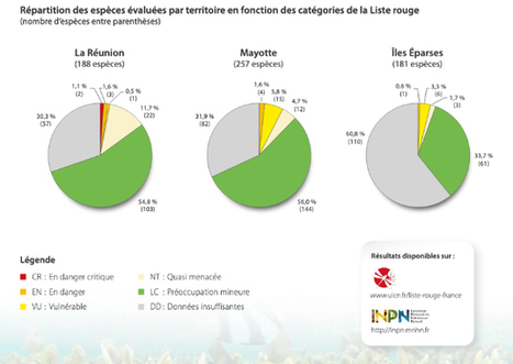 Des coraux des îles françaises de l'océan Indien menacés de disparition | Biodiversité | Scoop.it