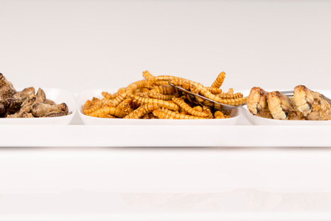 Que nous r&eacute;serve la FoodTech en 2017 ?&nbsp; | FoodTech | Scoop.it