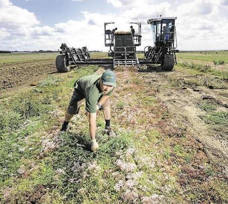 Agroécologie : 3.300 fermes se lancent | Attitude BIO | Scoop.it