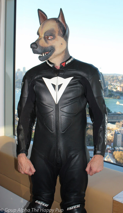 Human Pup Pics — Leather Pup Play Fan Gpup Alpha @ Sirius Pup Camp... | Human Pup Play News | Scoop.it