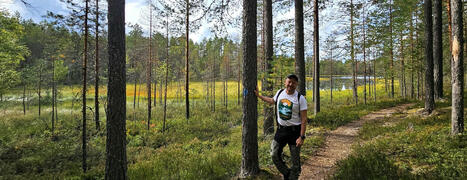 Tutustu j&auml;k&auml;liin, ihastu harjuihin ja lampiin. Huutoniemen luontopolku Uuraisilla. &ndash; | 1Uutiset - Lukemisen t&auml;hden | Scoop.it