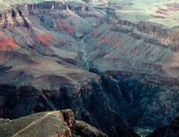 Ocean's toxic alkalisation spurred evolution | Amazing Science | Scoop.it