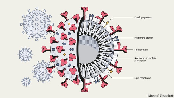 What’s the deal with Chloroquine? Read our expert view | Covid-19, SARS-Cov-2, vaccines, Remdesivir, Chloroquine...and all that Jazz | Scoop.it