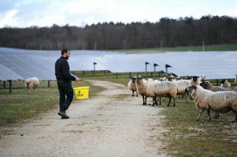 "Chaque commune a un ou plusieurs projets, c'est quelque chose d'énorme" : ce parc naturel régional tente d'encadrer l'agrivoltaïsme | Pour innover en agriculture | Scoop.it