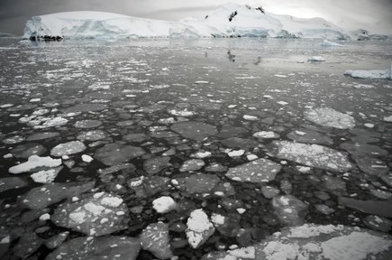 Pôle sud : la concentration de C02 à son plus haut niveau depuis 4 millions d’années | Ecologie & société | Scoop.it