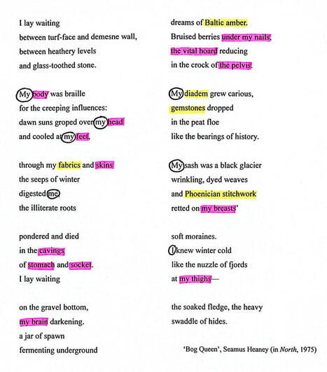 The bog bodies in Seamus Heaney&rsquo;s &laquo; North &raquo; (1975)&nbsp; | Veille &Eacute;ducative - L'actualit&eacute; de l'&eacute;ducation en continu | Scoop.it