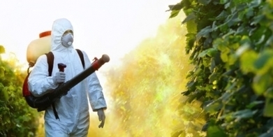 Voilà comment arrêter le nouveau poison de Monsanto | Home | Scoop.it
