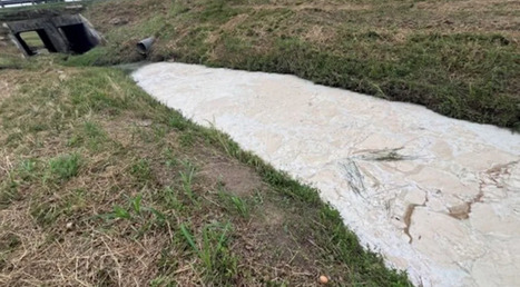 Coconut lotion dumped in White Oak Bayou by Harris County cosmetics company: court records | exTRA by the Trinity River Authority of Texas | Scoop.it