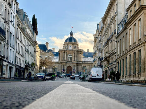 IA&nbsp;: le S&eacute;nat examine la proposition de loi contre le &laquo;&nbsp;chalutage des contenus culturels &raquo; | Insect Archive | Scoop.it
