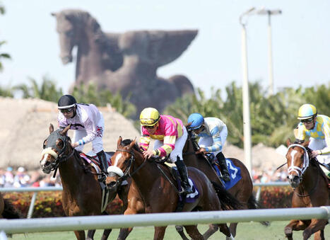 1/ST Rebrands XBTV Workouts Site to 1/ST TV | Racing Regulatory Issues | Scoop.it