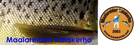 Maalareiden Kalakerho - Etusivu | 1Uutiset - Lukemisen tähden | Scoop.it