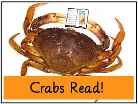 The Book Chook: Activities for Children's Book Week 2012 | Supporting Children's Literacy | Scoop.it